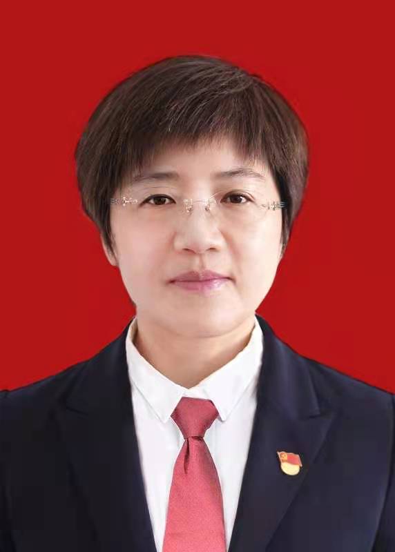 区委副书记 杜影